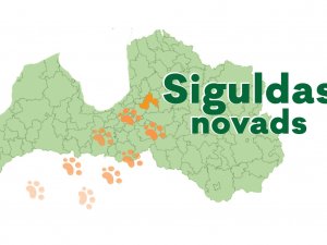 Siguldas novads atzīts par suņiem draudzīgāko novadu 2019. gadā