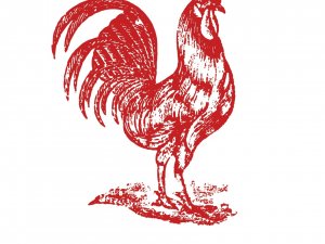 Kultūras centrā “Siguldas devons” atklās izstādi “Latvijas kultūras alfabēts”