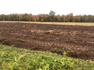 Notiek attālināts seminārs par videi draudzīgu saimniekošanu