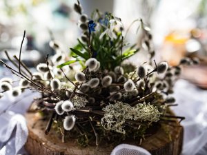 “Tornīši” piedalās akcijā #satiecsevi un aktīvi darbojas dabā