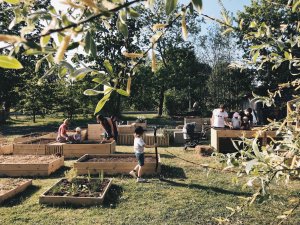 Siguldā īstenotais “Kopienas dārzs “audz”” iegūst starptautisku balvu