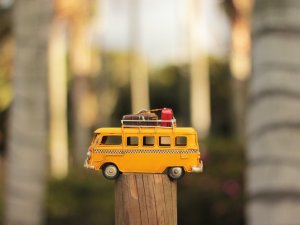 Pārcelts projektu konkurss bērnu un jauniešu vasaras nometnēm