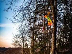 Lieldienu noskaņai novada dabas takās izvietoti simboliski vides objekti – krāšņi putni zelta būros