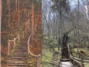 Tapis pētījums par Vidzemes Šveices vērtībām