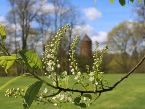 Turaidas muzejrezervāts atver apmeklētājiem brīvdabas ekspozīcijas