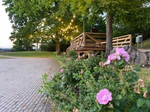 Šonedēļ Siguldas novadā: Muzikālās brokastis, Alekseja Naumova izstādes atklāšana un citi notikumi