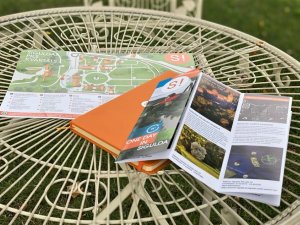 Iepazīsti aizraujošo Siguldu – tās dabu un apskates objektus