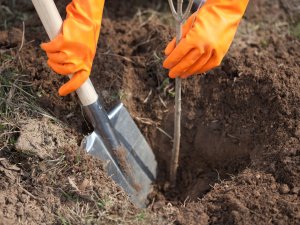 Novadnieki aicināti 19. septembrī piedalīties Pasaules talkā