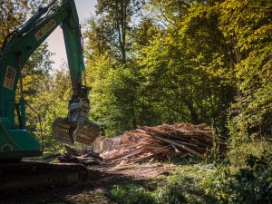 Pašvaldība demontē vidi degradējošu objektu netālu no Gūtmaņa alas