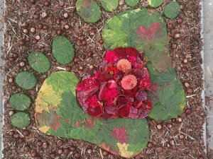 Siguldas 1. pamatskolā noslēdzies konkurss “Dabas paklājs”