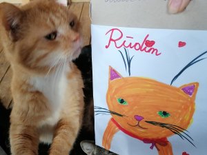 Allažu pamatskola Labo darbu nedēļā atbalsta dzīvnieku patversmes iemītniekus