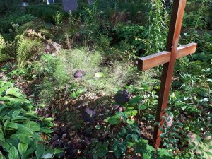 Siguldas kapsētā veikta ikgadējā nekopto kapavietu apzināšana