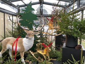 Meklē svētku sajūtu tepat – sev apkārt!