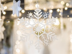 Siguldas novada pašvaldības domes priekšsēdētāja novēlējums Ziemassvētkos