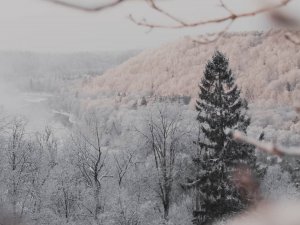 Šonedēļ Siguldas novadā: atvērtas vairākas slēpošanas trases, notiks bezmaksas nūjošanas nodarbības