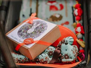 Līdz 31. janvārim turpinās reģistrēšanās jaundzimušo godināšanas pasākumam “Esmu dzimis Siguldas novadā”