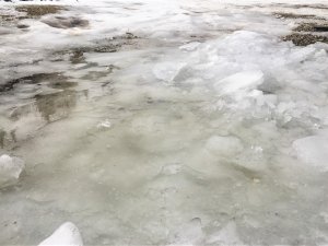 Siguldas novadā uzsāks ielu un ceļu attīrīšanu no atkusušā sniega