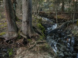 Veiktas novada avotu ūdens pārbaudes; daļā avotu konstatēts piesārņojums
