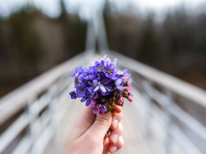 Šonedēļ Siguldas novadā: jaunas ekspozīcijas koprades laboratorijās, pastaigas dabas takās un citi notikumi