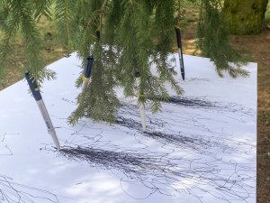 Arī “Siguldas devona” kolektīvs izaicina bibliotekārus “darīt neticamo”