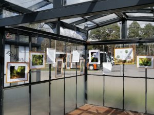 Dabas laboratorijā skatāma fotogrāfiju kolekcija “Mežsss”