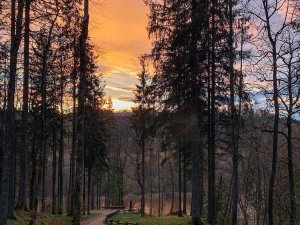 Šonedēļ Siguldas novadā: Mātes dienas pastaigas pilsētā un dabas takās un citi notikumi