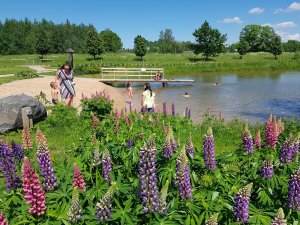 Mores muzejs īstenojis Eiropas Savienības finansētu sabiedriskā labuma projektu