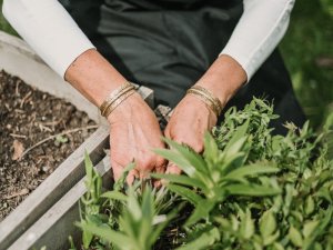 Kopienas dārzā “Audz” notiks ceturtā dārzkopības lekcija