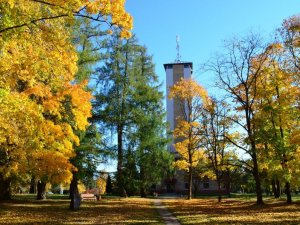 Tuvojoties Anšlava Eglīša 115. jubilejai, aicina uz talku Inciema muižas parkā