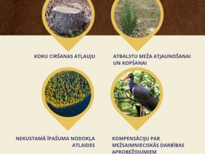 Valsts meža dienests aicina veikt meža inventarizāciju