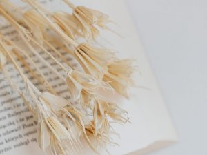 UNESCO Radošo pilsētu tīklam ir pievienojušās 49 pilsētas