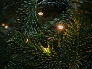 Norisināsies akcija “Sajūtu pietura: Allažu Tautas nams”