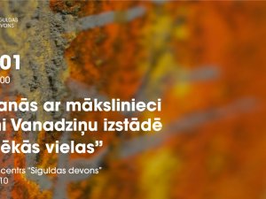 Notiks tikšanās ar izstādes “Pelēkās vielas” mākslinieci Signi Vanadziņu 