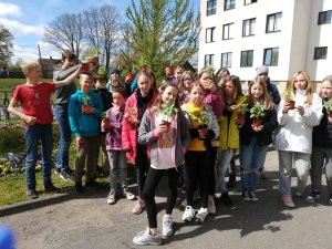 Novada jaunieši piedalās saulespuķu sēšanas akcijā