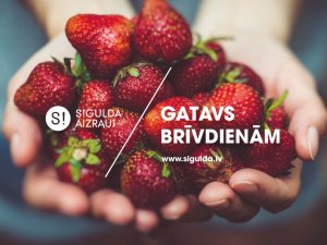 Šonedēļ Siguldas novadā: Mālpils zemeņu svētki, Apkaimes svētki un dažādi muzikālie koncerti