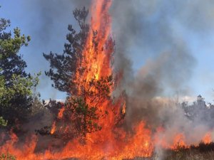  Aicinām ievērot īpašu ugunsdrošību apkārtnes mežos