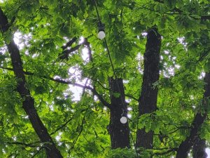 Krimuldas un Lēdurgas pagastā tiks pārbūvēts ielu apgaismojums