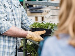 No novembra mazie lauksaimnieki var pieteikties atbalstam 