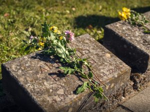 Aicinām uz Mores kaujas 64.gadadienu
