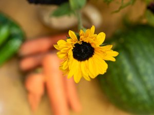 Aizvadīti Ražas svētki Jūdažos