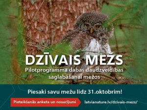 Veidos jaunus sadarbības modeļus dabas vērtību saglabāšanai privātajos mežos