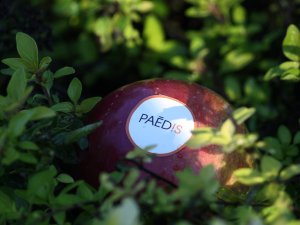 Digitālās ēdināšanas apmaksas sistēmā “PAĒD!S” jauni funkcionāli papildinājumi