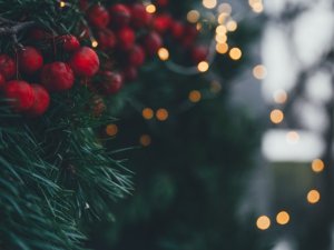 Mālpils pagasts gatavojas Ziemassvētkiem