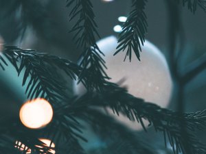 Krimuldas Tautas nams aicina uz Ziemassvētku pasākumiem