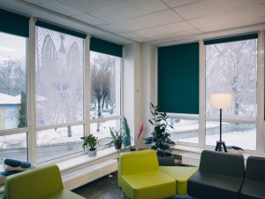 Siguldas novada bibliotēkas logus rotā ukraiņu ģimenes radīti lielformāta mākslas darbi