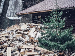 Atkritumu apsaimniekotāji aicina pēc svētkiem eglītes nodot šķirošanas laukumā