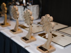 “Cerību spārnu” pārstāve – Labklājības ministrijas konkursa nominante