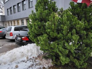 Paziņojums par lokālplānojuma nodošanu publiskajai apspriešanai un atzinumu saņemšanai