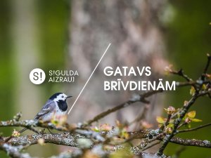 Šonedēļ Siguldas novadā: literatūra, māksla, sporta un mūzikas pasākumi visai ģimenei