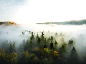 Pašvaldība jau vairākus gadus iesaistās projektā “Meža dienas”